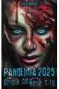 Pandemia 2025. Droga Do Nova City