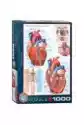 Puzzle 1000 El. The Heart 6000-0257