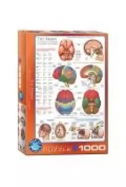 Puzzle 1000 El. The Brain 6000-0256