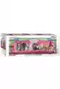 Eurographics Puzzle 1000 El. Kitty Cat Couch 6010-5629
