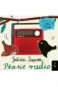 Foksal Ptasie Radio