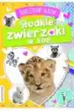 Booksandfun Naklejkowy Album Słodkie Zwierzaki W Zoo