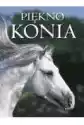 Piękno Konia