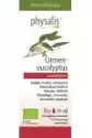 Physalis Olejek Eteryczny Eukaliptus Cytrynowy (Citroen Eucalyptus)