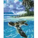 Symag Malowanie Po Numerach. Paint It! Tropikalny Żółw 40 X 50 C