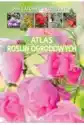 Atlas Roślin Ogrodowych