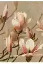 Skona Ting Karnet St400 B6 + Koperta Magnolia