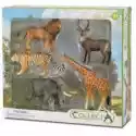  Collecta Zestaw 5 Zwierząt Safari 