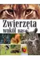 Zwierzęta Wokół Nas. Encyklopedia Dla Dzieci