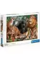 Puzzle 500 El. High Quality Collection. Wild Cats