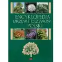  Encyklopedia Drzew I Krzewów 