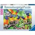  Puzzle 1000 El. Kraina Lorikeet Ravensburger