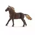 Schleich  Ogier Mustang 