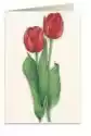 Tassotti Karnet B6 + Koperta 7517 Czerwone Tulipany