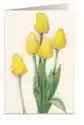 Tassotti Karnet B6 + Koperta 7516 Żółte Tulipany