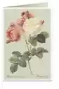 Tassotti Karnet B6 + Koperta 6066 Kolorowe Róże