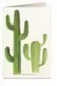 Tassotti Karnet B6 + Koperta 5986 Kaktusy
