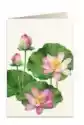 Tassotti Karnet B6 + Koperta 5930 Kwiat Lotosu
