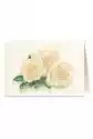 Karnet B6 + Koperta 5759 Białe Róże