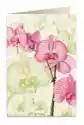 Karnet B6 + Koperta 5722 Różowa Orchidea