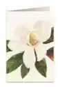 Tassotti Karnet B6 + Koperta 5601 Kwiat Magnolii