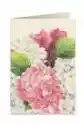 Tassotti Karnet B6 + Koperta 5548 Różowa Hortensja