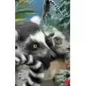 Worth Keeping Worth Keeping Mini Kartka 3D Lemur 
