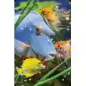 Worth Keeping Mini Kartka 3D Niebieska Ryba 