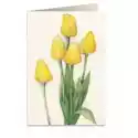 Tassotti Tassotti Karnet B6 + Koperta 7516 Żółte Tulipany 