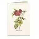 Tassotti Karnet B6 + Koperta 8068 Czerwona Róża 2 