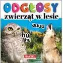  Odgłosy Zwierząt W Lesie 