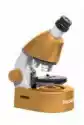 Levenhuk Mikroskop Discovery Micro Z Książką Solar