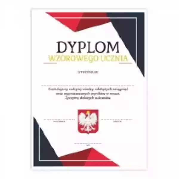 Learnhow Dyplom A4 Wzorowego Ucznia - Godło 10Szt 