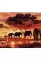 Malowanie Po Numerach. Słonie