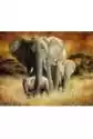 Norimpex Malowanie Po Numerach. Słoń