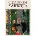  Cuda Polski Zwierzęta 