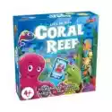  Coral Reef 