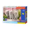  Puzzle 300 El. Three Grey Kittens Castorland