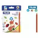 Milan Kredki Świecowe Trójkątne Plastipastel 12 Kolorów