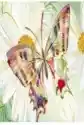Karnet B6 + Koperta Motyl Kwiaty