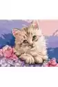 Symag Malowanie Po Numerach. Paint It! Błękitnooki Kot