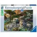 Ravensburger  Puzzle 1500 El. Wiosenne Wilki Ravensburger