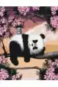 Symag Malowanie Po Numerach. Paint It! Śpiąca Panda