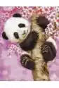 Malowanie Po Numerach. Paint It! Panda Na Drzewie Wiśni