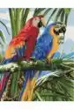 Malowanie Po Numerach. Paint It! Kolorowe Papugi