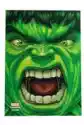 Marvel Champions Art Sleeves Hulk