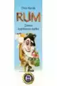 Lucrum Games Rum