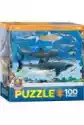 Puzzle 100 El. Smartkids Sharks