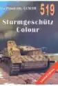 Strumgeschutz Colour Tank Power Vol. Ccxlvii 519