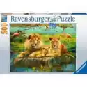 Ravensburger  Puzzle 500 El. Dzika Przyroda Ravensburger